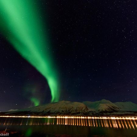 Aurora Dream Daire Svensby Dış mekan fotoğraf