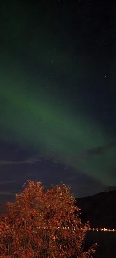 Aurora Dream Daire Svensby Dış mekan fotoğraf