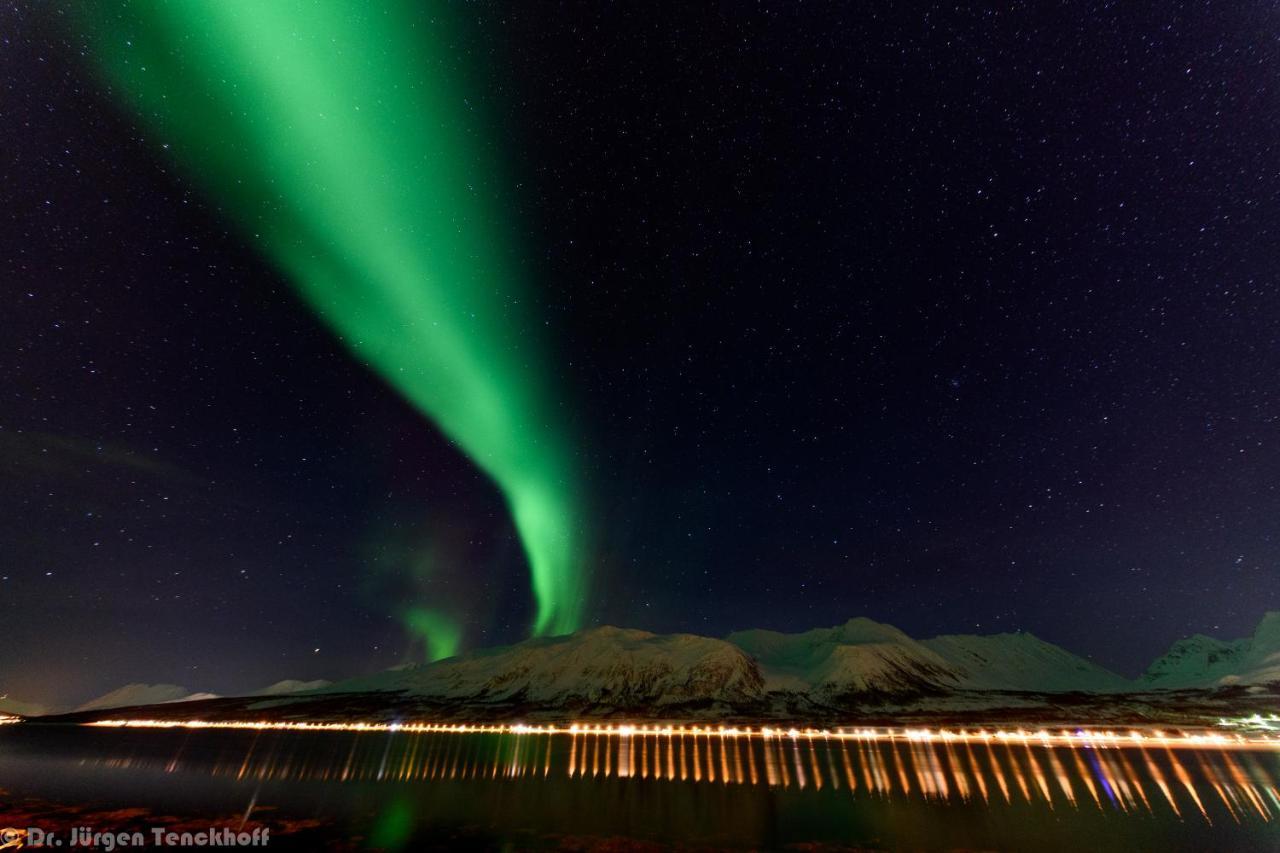 Aurora Dream Daire Svensby Dış mekan fotoğraf