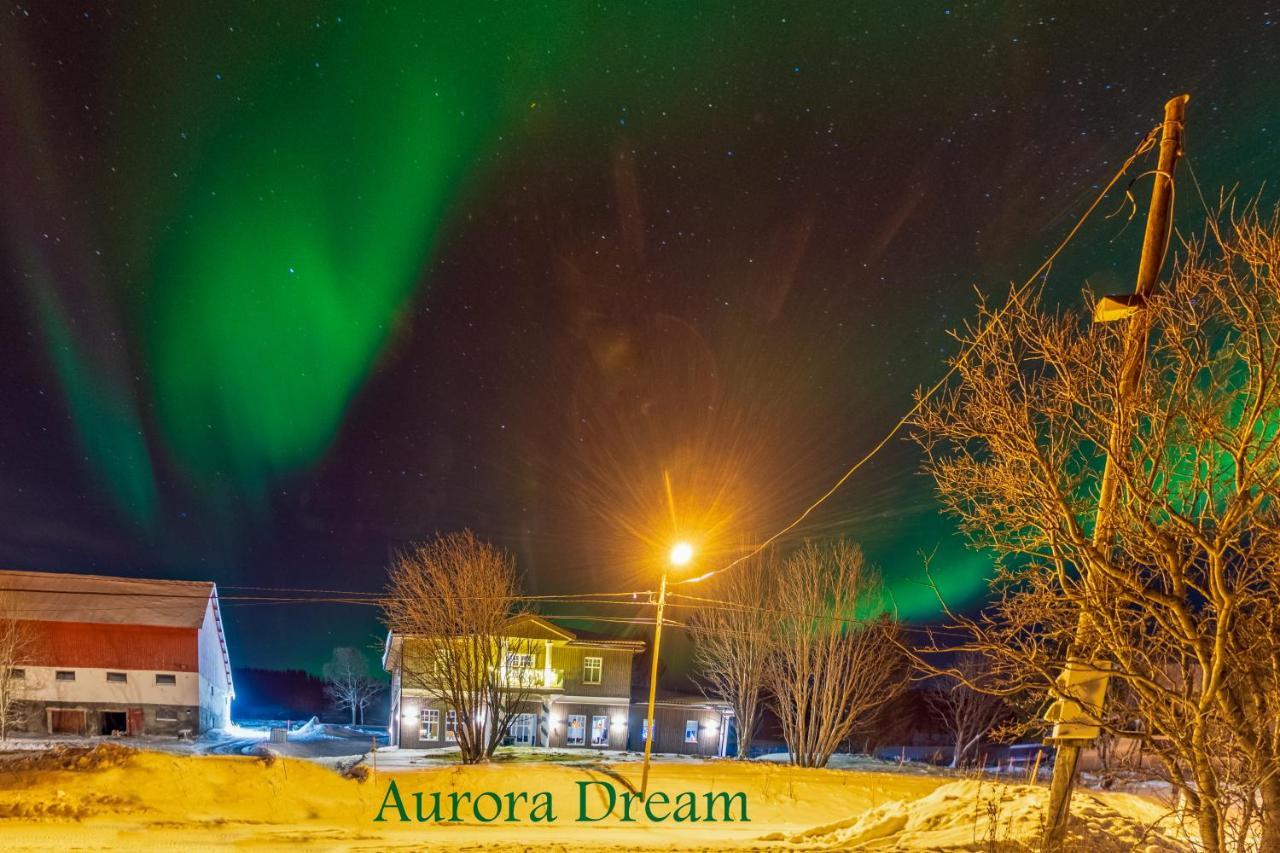 Aurora Dream Daire Svensby Dış mekan fotoğraf